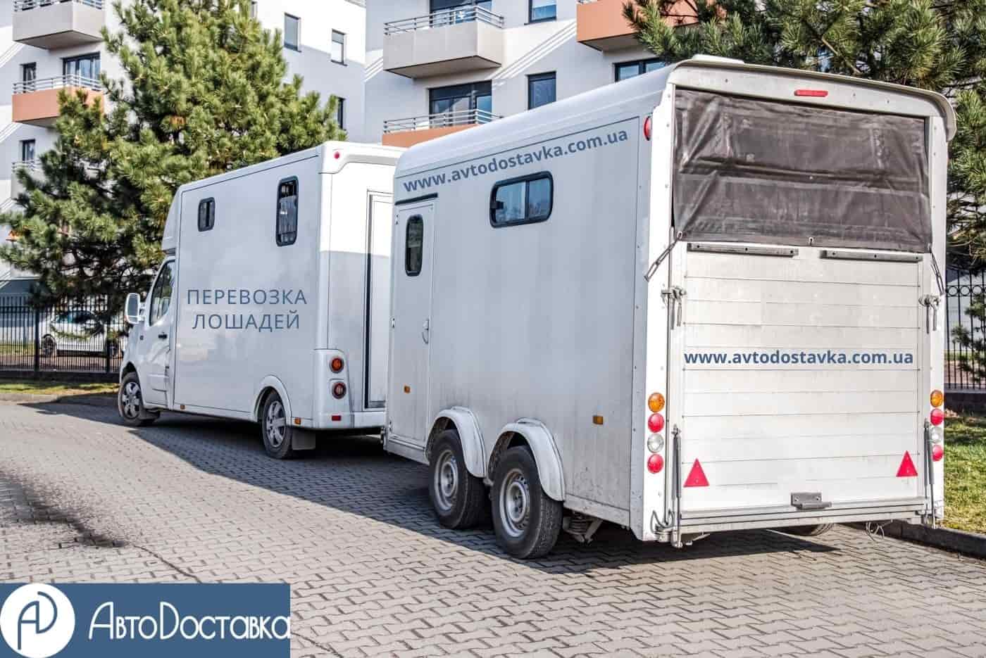 перевозка коней фотография