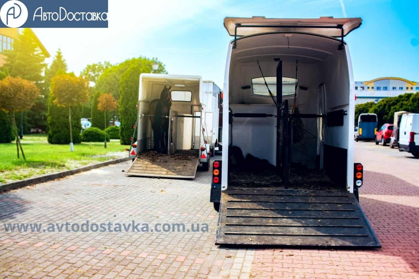 перевозка лошадей цены фотография