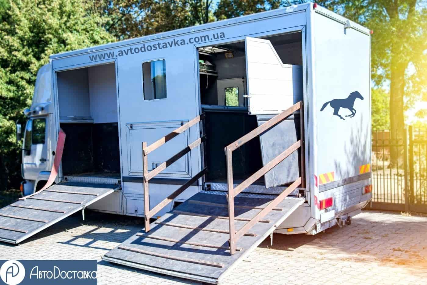 транспортировка лошадей фотография